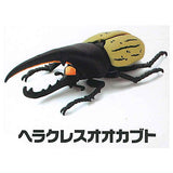 Modeling Beetles [2.Hercules beetle]