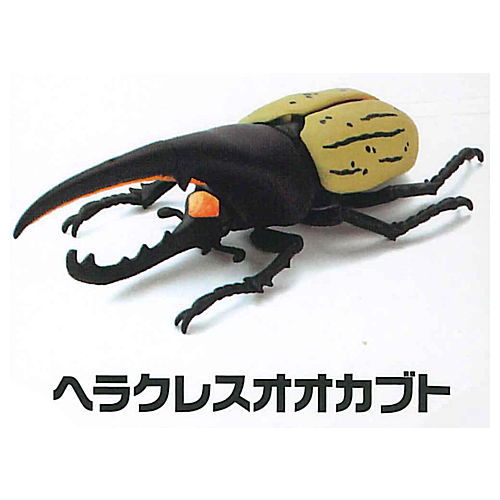 Modeling Beetles [2.Hercules beetle]