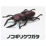 Modeling Beetles [3.Stag Beetle]