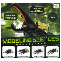 Modeling Beetles [All 4 type set(Full Complete)]