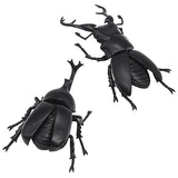 Konchu no Mori Mystery of Kaionpa  [Assorted 2 type set (1.Beetle/2.Giraffanostag beetle)]