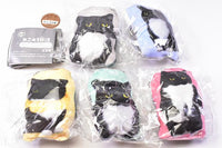 Nekonouni:3  otete cushion [All 5 type set(Full Complete)]