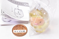 Sumikkogurashi Sumikko Zaurus Clear Mascot Charm [3.Tonkatsu]