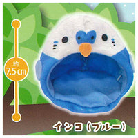 Chupipi! Torisannoouchi [1.Parakeet (Blue)]