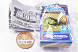 Insect Encyclopedia Mascot Beetle Aquamarine [1.Hercules beetle]