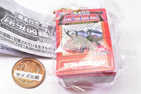 Insect Encyclopedia Mascot Beetle Star Ruby [1.Yamato beetle]