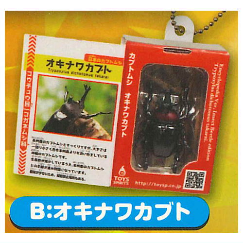 Insect Encyclopedia Mascot Beetle Star Ruby [2.Okinawa beetle]