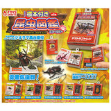 Insect Encyclopedia Mascot Beetle Star Ruby [All 5 type set(Full Complete)]