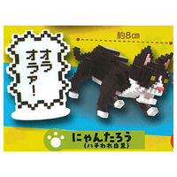 Bit Bite! Fight Cat Mascot [1.Nyantaro (hachiware white black)]