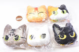 Fujihito Nekonekokurashi face mascot [All 5 type set(Full Complete)]