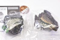 Mini Collection Amphibian 01 [4.Japanese common toad]