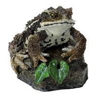 Mini Collection Amphibian 01 [4.Japanese common toad]