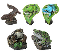 Mini Collection Amphibian 01 [All 5 type set(Full Complete)]