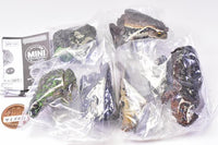 Mini Collection Amphibian 01 [Assorted 3 type set (1.Giant salamander/4.Japanese common toad/5.Okinawa ishikawa's frog)]