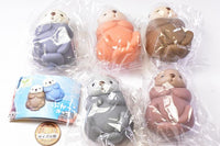 Pukkako Otter [All 5 type set(Full Complete)]