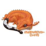 West African Fat-tailed Gecko and Crested Gecko Good Night Series [5.Crested Gecko (red)]