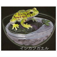 Caprium Collection Frog [4.Ishikawa frog]