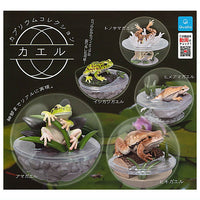 Caprium Collection Frog [All 5 type set(Full Complete)]