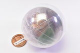 TAMA-KYU Capsule Zoo Hotel [3.Dog]
