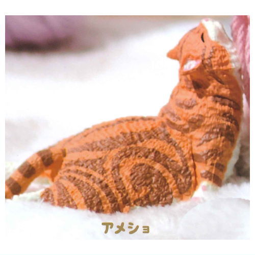 Nemui nemui mada,nemui Nidone [3.American shorthair]
