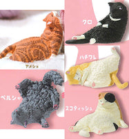Nemui nemui mada,nemui Nidone [All 5 type set(Full Complete)]