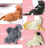 Nemui nemui mada,nemui Nidone [All 5 type set(Full Complete)]