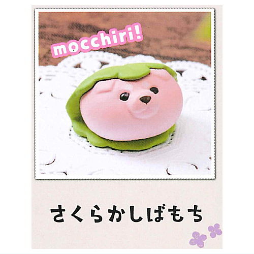 Animal Attraction Mocchiri Animals Okawari Time [5.Sakurakashibamochi]