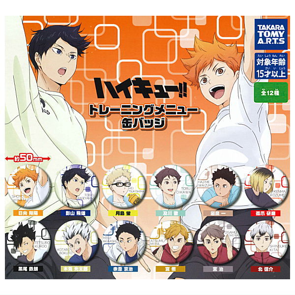 Haikyu!! Training Menu Can Badge [All 12 type set(Full Complete)]