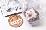 Manmaru Animals Manmaru Mouse Mascot  [3.Hedgehog]