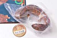 Nature Techni Colour MONO PLUS Newt and Giant salamander Ball Chain & Magnet [1.Japanese giant salamander (magnet)]