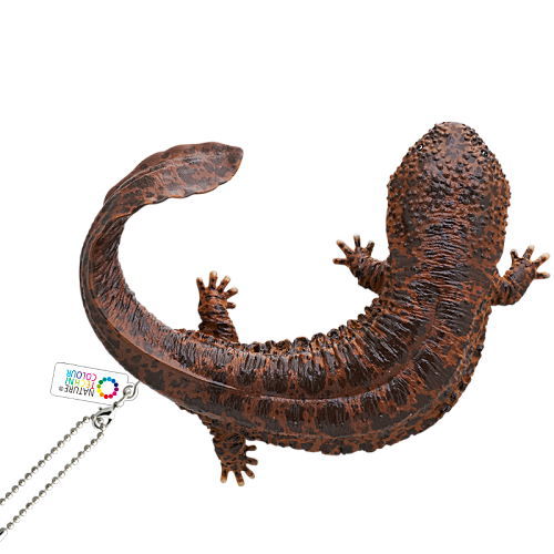 Nature Techni Colour MONO PLUS Newt and Giant salamander Ball Chain & Magnet [2.Japanese giant salamander (ball chain)]