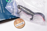 Nature Techni Colour MONO PLUS Newt and Giant salamander Ball Chain & Magnet [3.Japanese fire belly newt (magnet)]