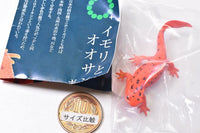 Nature Techni Colour MONO PLUS Newt and Giant salamander Ball Chain & Magnet [4.Japanese fire belly newt (red change) (magnet)]