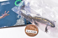 Nature Techni Colour MONO PLUS Newt and Giant salamander Ball Chain & Magnet [5.Sword-tailed newt (magnet)]