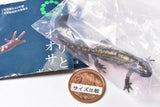 Nature Techni Colour MONO PLUS Newt and Giant salamander Ball Chain & Magnet [5.Sword-tailed newt (magnet)]