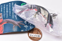 Nature Techni Colour MONO PLUS Newt and Giant salamander Ball Chain & Magnet [6.Japanese fire belly newt (ball chain)]