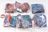 Nature Techni Colour MONO PLUS Newt and Giant salamander Ball Chain & Magnet [All 6 type set(Full Complete)]