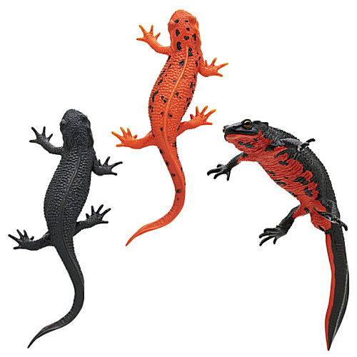 Nature Techni Colour MONO PLUS Newt and Giant salamander Ball Chain & Magnet [Japanese fire belly newt 3 type set  (3.magnet/4.red change magnet/6.ball chain)]