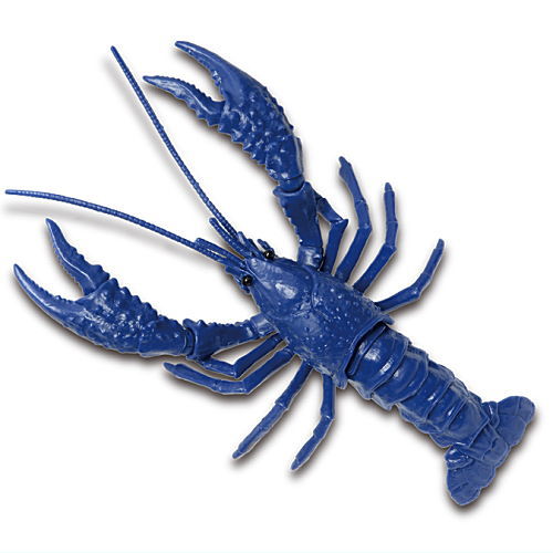 Crayfish delta [4.Dark Blue]