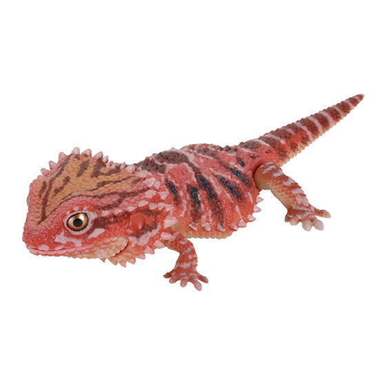 Ikimono Encyclopedia Repti Japanese gecko and Bearded dragon [4.Bearded dragon (light brown)]