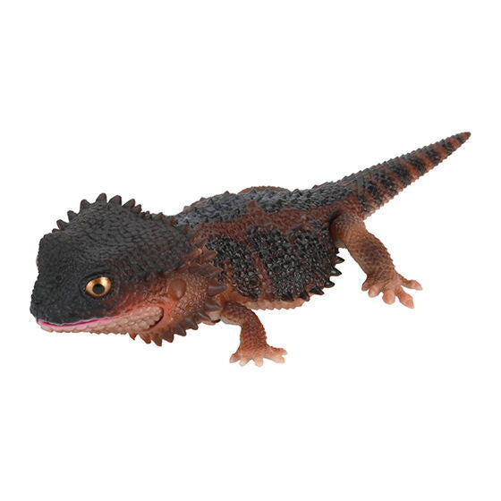 Ikimono Encyclopedia Repti Japanese gecko and Bearded dragon [5.Bearded dragon (dark red)]