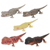 Ikimono Encyclopedia Repti Japanese gecko and Bearded dragon [All 5 type set(Full Complete)]