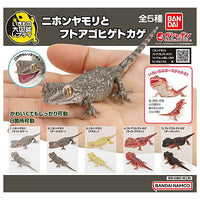 Ikimono Encyclopedia Repti Japanese gecko and Bearded dragon [All 5 type set(Full Complete)]