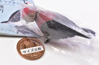 Woodpecker Action & Magnet [2.Okinawa woodpecker]