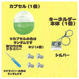 Capsule gasonomama key chain ninaru mini [1.Keychain : Silver]