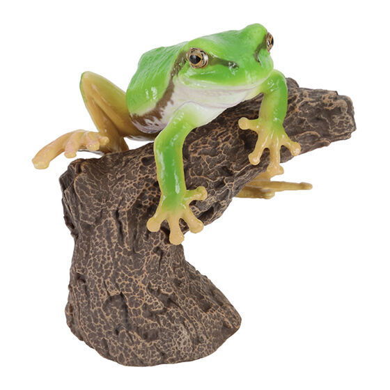 Ikimono Encyclopedia Yubimaki collection Tree Frog and Milky Tree [1.Green (tree frog)]