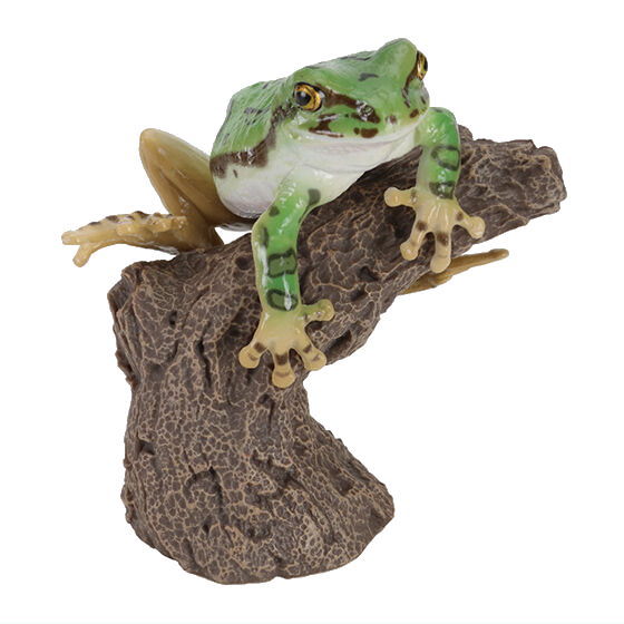 Ikimono Encyclopedia Yubimaki collection Tree Frog and Milky Tree [2.Madara Green (tree frog)]