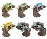 Ikimono Encyclopedia Yubimaki collection Tree Frog and Milky Tree [All 6 type set(Full Complete)]