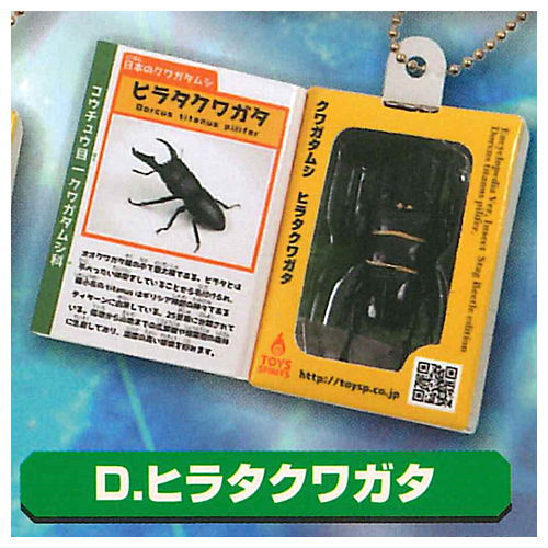 Insect Encyclopedia Mascot Stag beetle Shining Topaz [4.Hirata Stag Beetle]