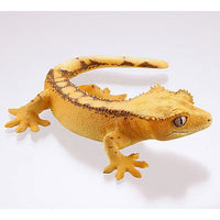 Capsule Q Gecko Figure Collection Ver.2 crested gecko [1.Crested gecko (yellow)]